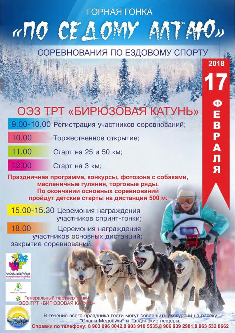 17 февраля на территории ТК "БИРЮЗОВАЯ КАТУНЬ" пройдут соревнования, бега на собачьих упряжках "ПО СЕДОМУ АЛТАЮ" 