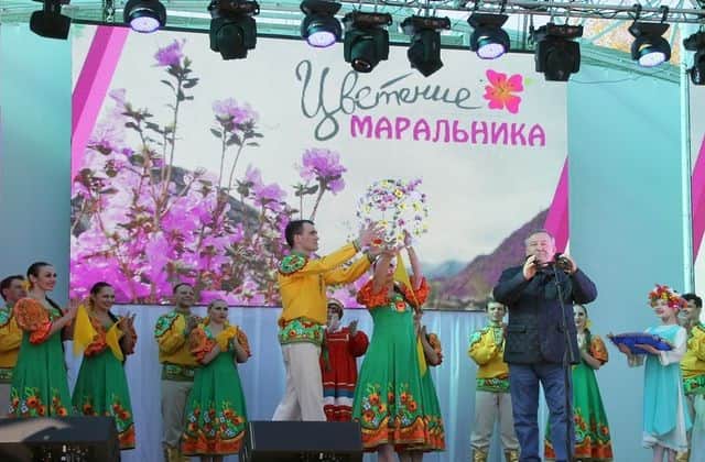 «Цветение маральника» - особое событие в туристической жизни региона