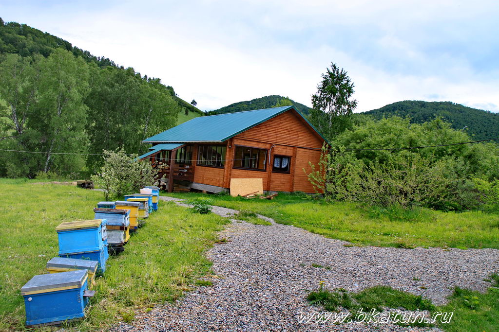 Пасека ТК Бирюзовая Катунь